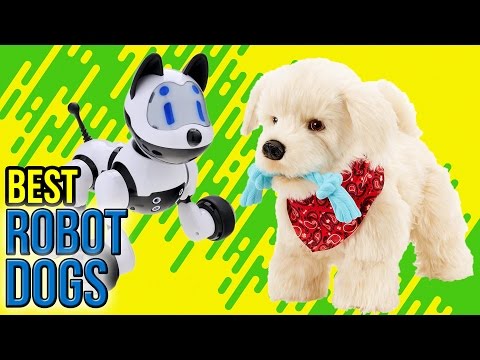 10 Best Robot Dogs 2017