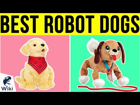 10 Best Robot Dogs 2019