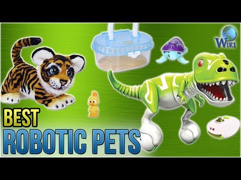 10 Best Robotic Pets 2018