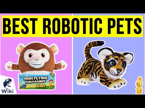 10 Best Robotic Pets 2020