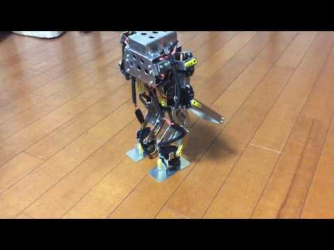 12 servos biped robot