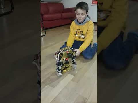 17dof biped robot humanoid