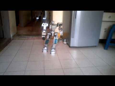 28 DOF biped robot fast walking with usc-32 servo controller