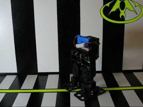 6 Servo biped robot (work in progress)