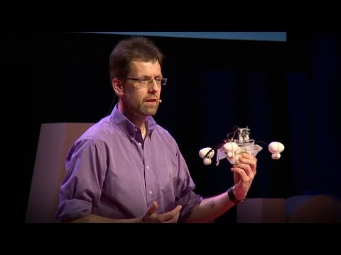 A robot that eats pollution | Jonathan Rossiter