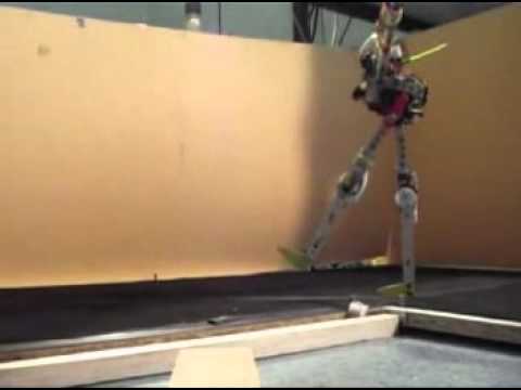 Adaptive, Fast Walking in a Biped Robot under Neuronal Control and Learning