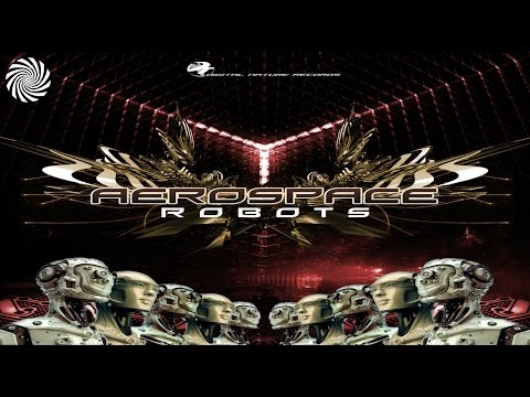 Aerospace – Robots in Dub
