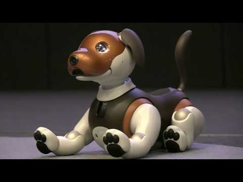 Aibo SONY robot dog favorite pet for children and adults with artificial intelligence