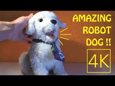 Amazing Robot Dog | 4K | Hasbro's Realistic Joy for All Companion Pet Dog