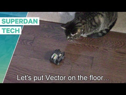 Anki Vector | Let's put Vector on the floor!