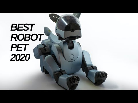 Best Robot Pet 2020