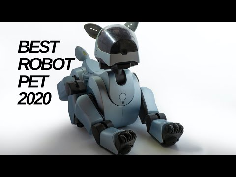 Shockingly Realistic AI Robot Dog 