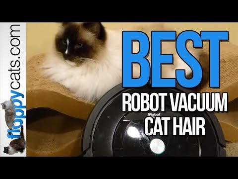 Best Robot Vacuum Cat Hair – iRobot Roomba 880 Review – Roomba for Pets Costco
