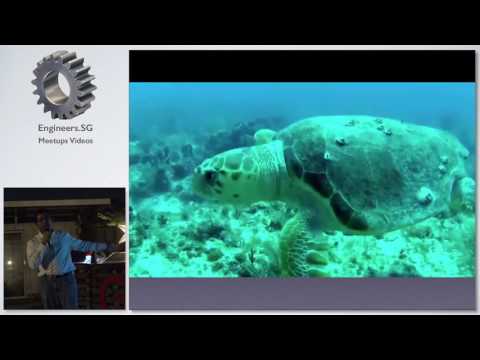 Biomimetic Robots and Sensors for Ocean Exploration – Tech Tarik Ocean Exploration