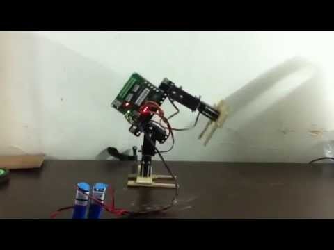 Biped Robot