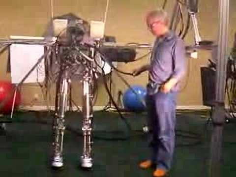 Biped Robot