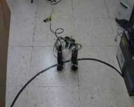 Biped Robot