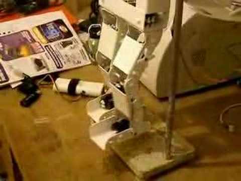 Biped Robot Gait