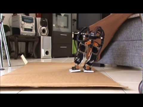 Biped Robot  "Red-Dragon V3"  movement demostration