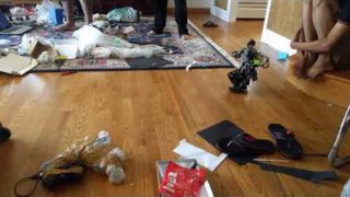 Biped Robot Walking