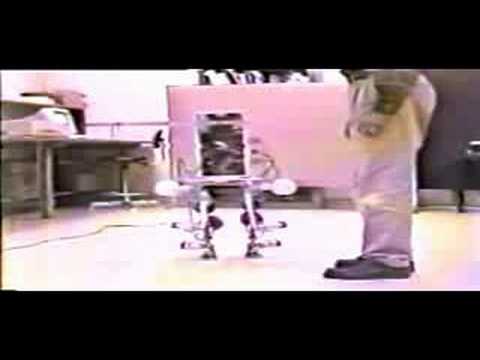 Biped robot walking -frontal view