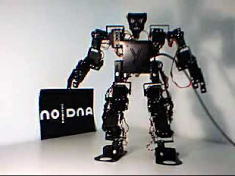 Biped Robot YDNA hopping