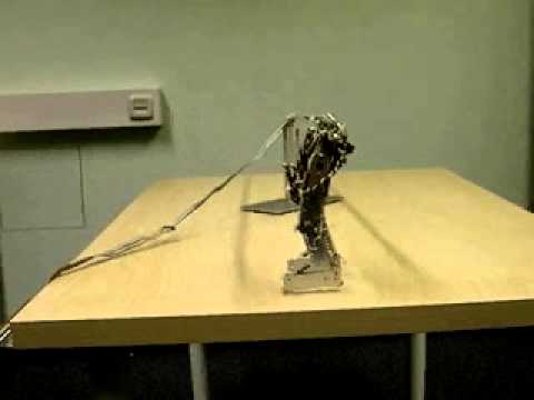 Biped Robots 04 JW1c