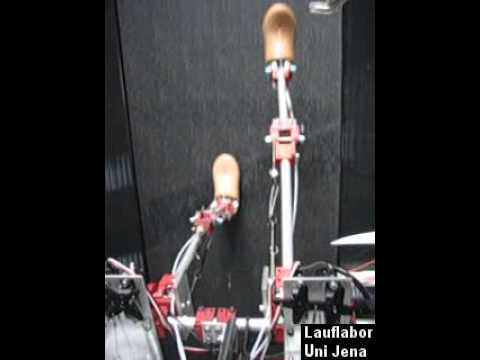 Biped Robots 09 JW2 headdown