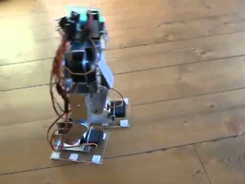 Build your own Biped Robot