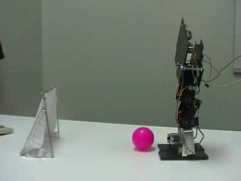 Cerberus Biped Robot