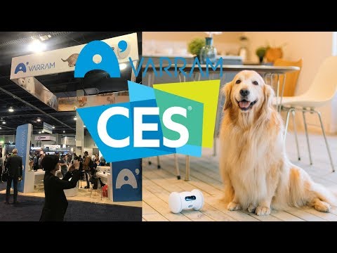 CES 2019: Varram Pet Fitness Robot at CES 2019