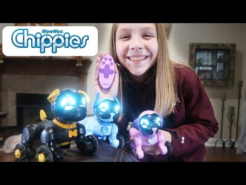 CHiPPIES Affordable Fun Remote Control Pet
