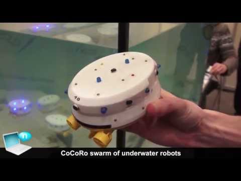 CoCoRo swarm of underwater robots