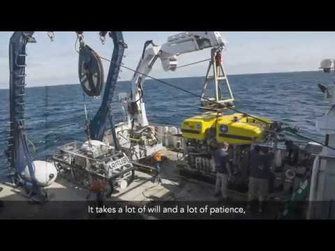 Deep Sea Robots