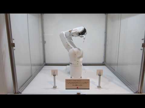 DENSO industrial robot