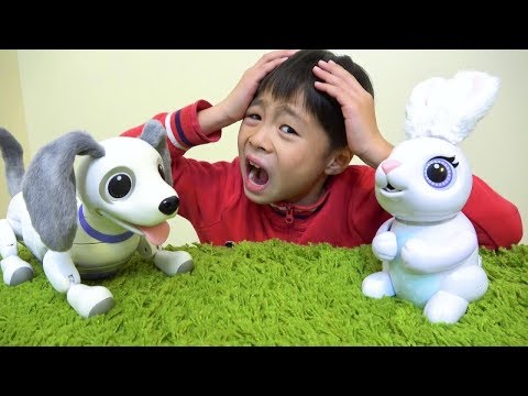 Dog or Rabbit? Pets Robot! Pet Shop Pretend Play Kids Line