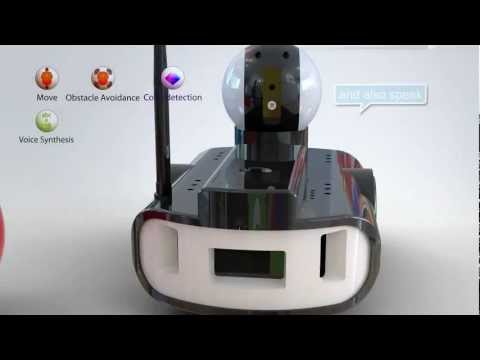 Domestic Robot