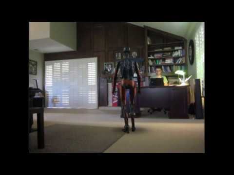 Domestic Robot