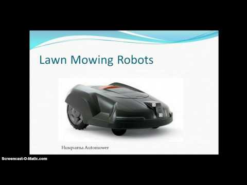 Domestic Robot Presentation