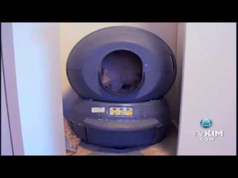 Domestic Robot Servants