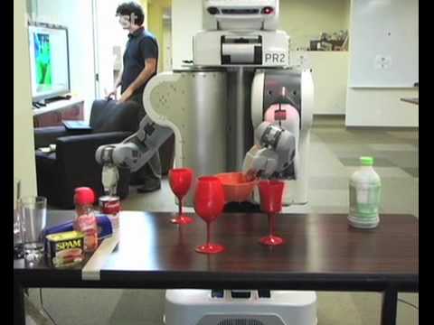 Domestic robot