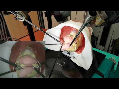 Dynamic Motion Planning for Autonomous Assistive Surgical Robots
