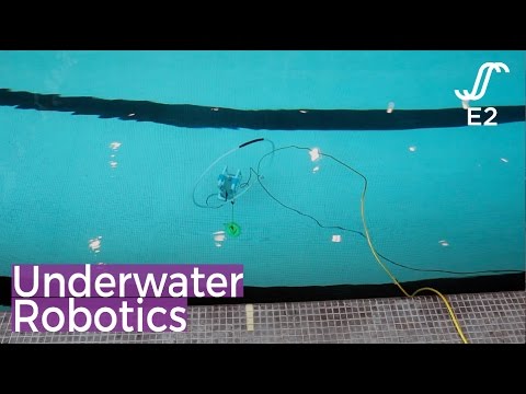 E2@MIT: Underwater Robotics