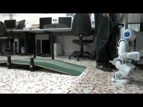 Efficient locomotion control of biped robots on unknown sloped surfaces with CPGs