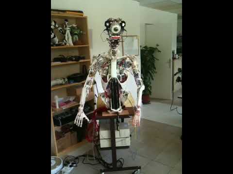Elastic humanoid robot