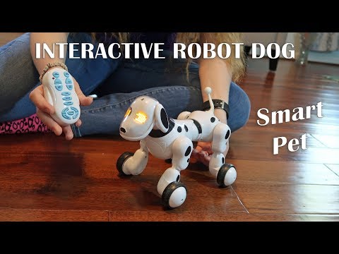 ? ROBOT DOG LEOKING INTERACTIVE REMOTE CONTROL SMART PET REVIEW ⭐