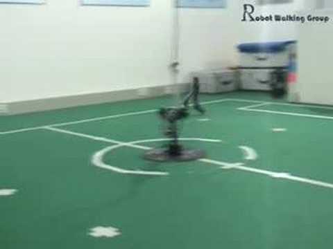 Fast Walking Biped Robot, as Fast as Human