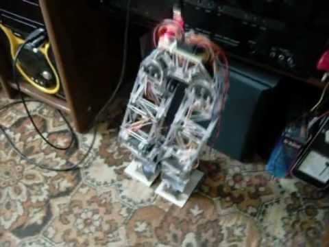 First steps of my biped robot