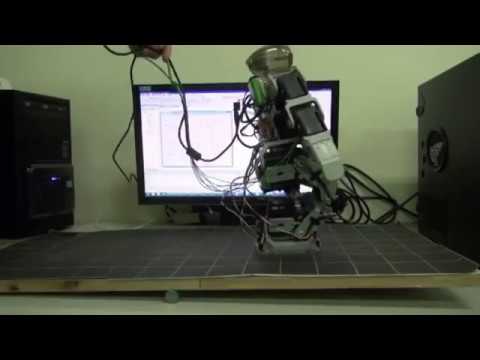 Gait Balance and Acceleration of a Biped Robot Based on Q-Learning