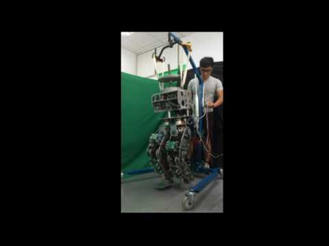 Gait Pattern Planning and Realiization of a Biped Robot